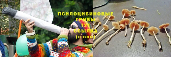 прущие крисы Семилуки